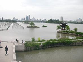 渝水天气预报15天查询