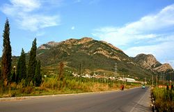 大连大黑山天气