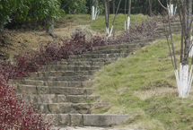 桃园溪州山登山步道