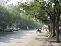 北京灵境胡同