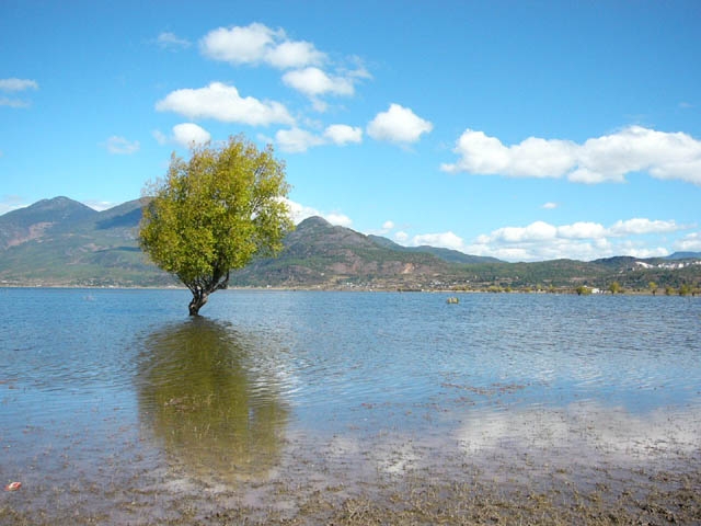 丽江拉市海湿地公园天气