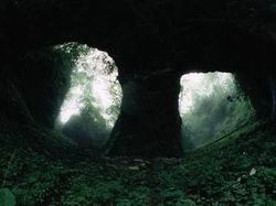 神农架天燕原始生态旅游区